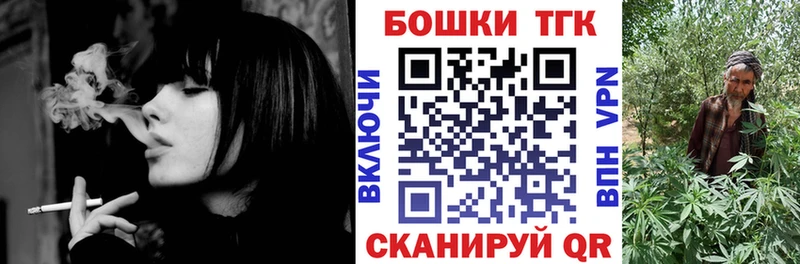 Шишки марихуана план  где купить наркотик  Грайворон 